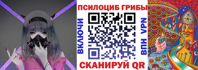 Галлюциногенные грибы Psilocybine cubensis  Невьянск 